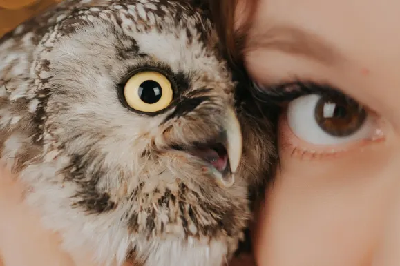 Kasino Fever Bingo Podpora